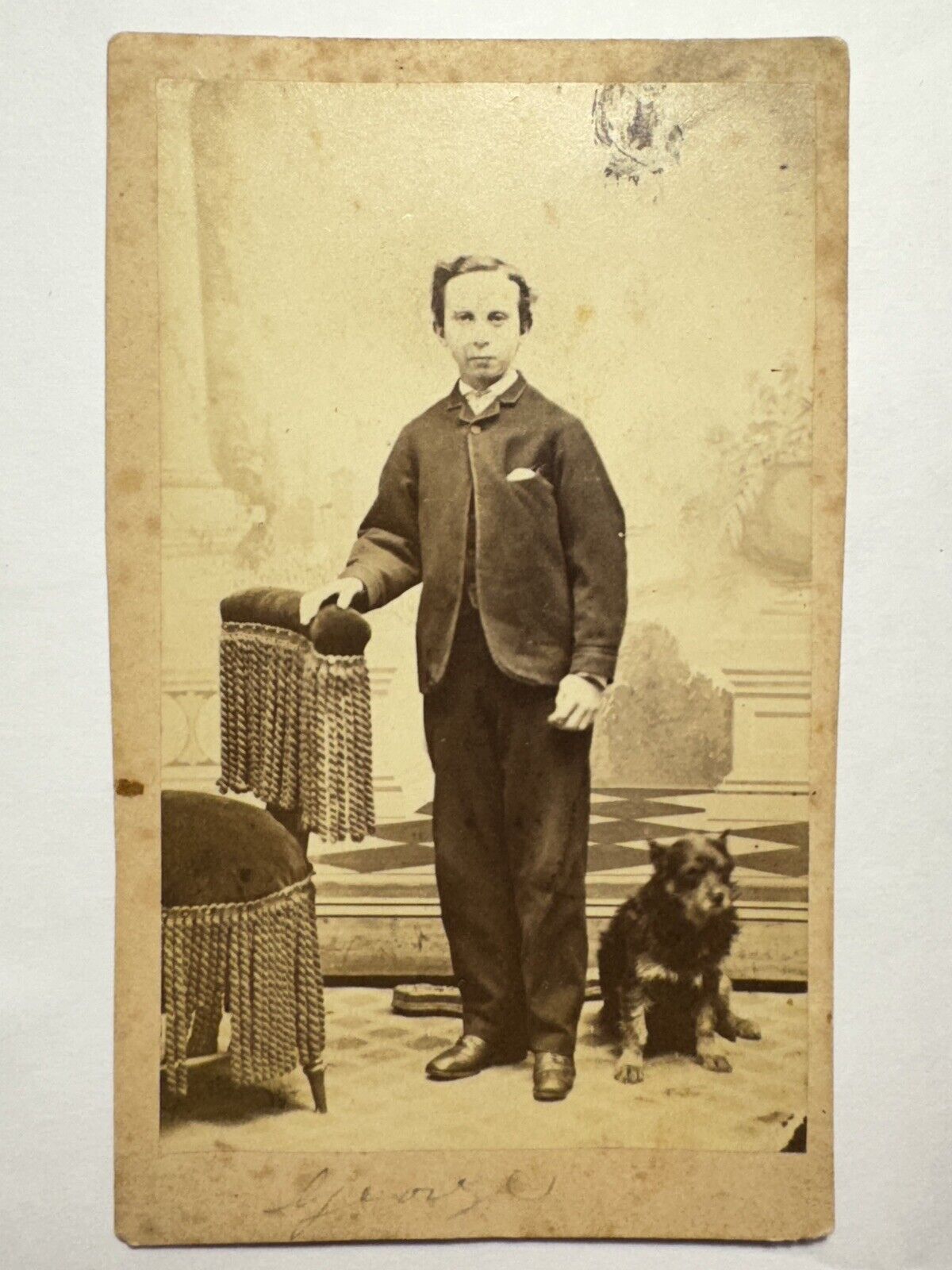 Antique CDV Photo - Victorian Boy “George” With Terrier Dog 1800s
