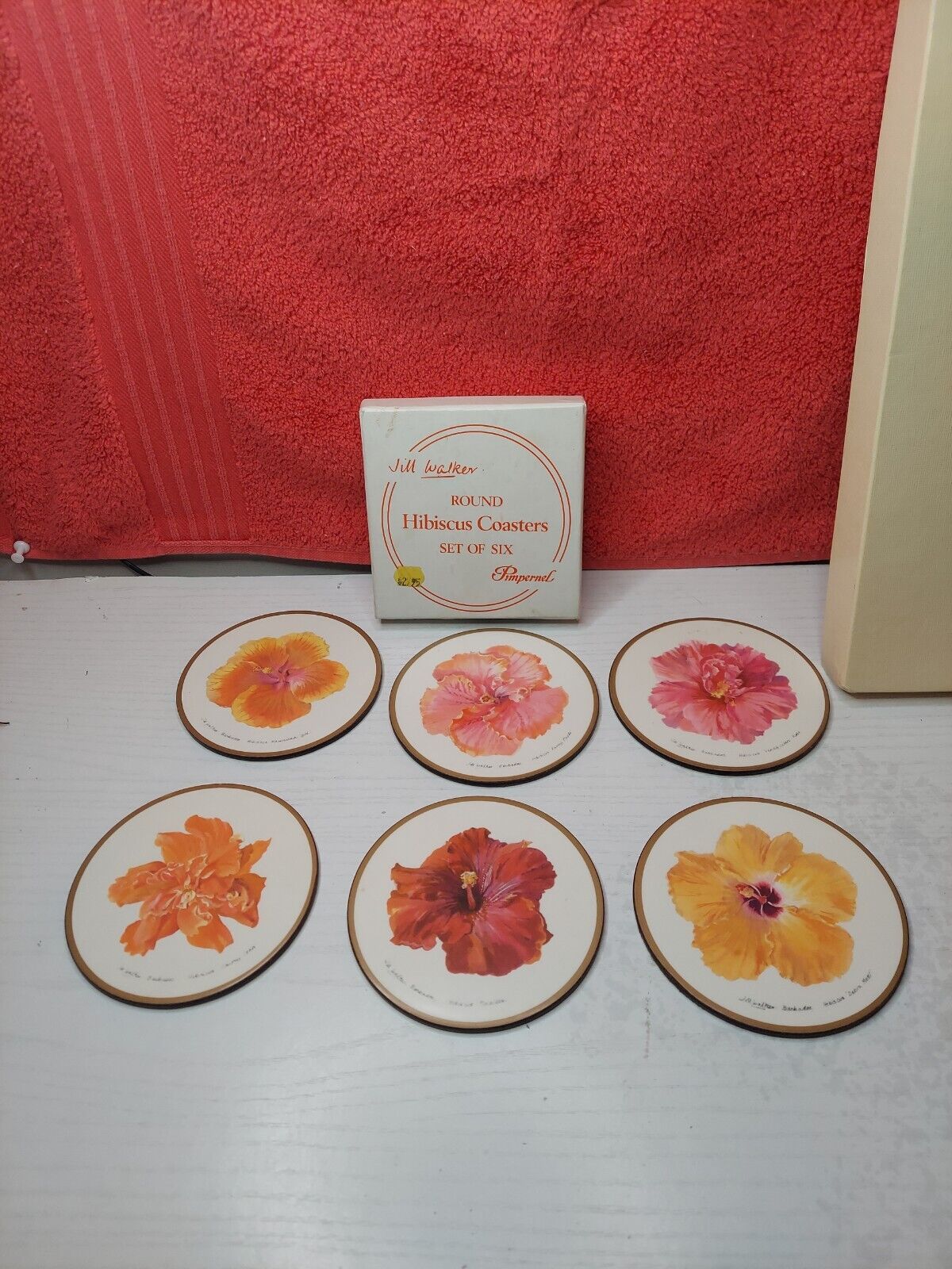 Jill Walker’s Hibiscus Acrylic Coasters W/Box Set/6 Vintage 4.25\