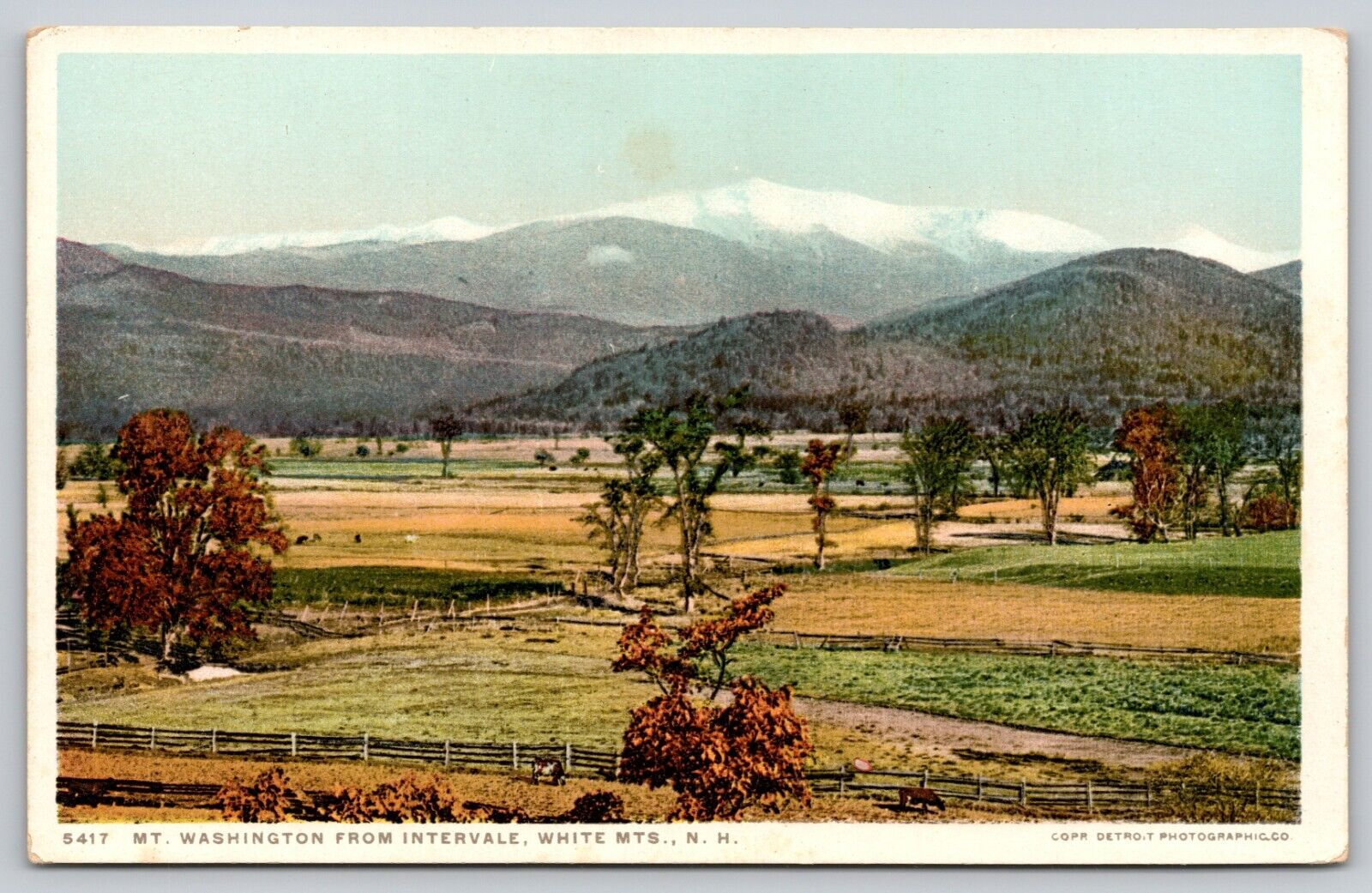 Postcard NH White Mts Mt Washington From Intervale WB UNP A18
