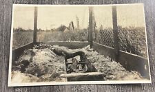 RPPC Two Alligators In A Cage Real Photo Postcard picture