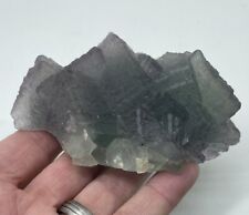 Teal Sea Green Fluorite Quartz Cluster Crystal Mineral specimen COA/ID picture