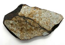 39 gram Beni M'hira meteorite slice with melt Breccia - Tunisia fall 2001 # picture