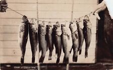 RPPC Lakeview Ohio Lyons Camp Ground Indian Lake Cabins Fish Photo Postcard D12 picture