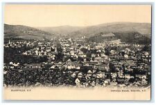 c1905s Bird's Eye View Of Llewellyn Francis Ellenville New York NY Tree Postcard picture