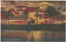 1940s Florida Sunset Evening Shadows Palm Trees Dusk Vintage Linen Postcard picture
