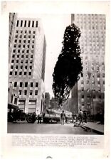 Rockefeller Christmas Tree 10th Annual Associated Press AP Photograph 8x11