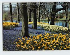 Postcard Holland in flower decoration Netherlands picture