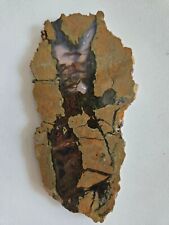 Priday moss Agate slab Unpolished Oregon 70 Grams picture