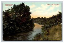 A Bend In The Betsey River, Michigan MI Postcard picture
