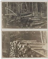 Logging Felled Trees 2 1928 Vintage Photo Men Forestry picture