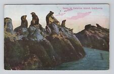 Postcard Seals at Catalina Island California posted 1922 picture