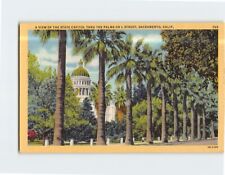 Postcard View of the State Capitol Thru the Palms on L Street Sacramento CA USA picture