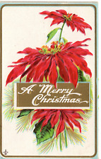 Postcard Christmas Embossed  Poinsettia Merry Christmas -9681 picture