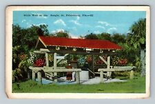 St Petersburg FL-Florida, Dixie Well At The Jungle Vintage Souvenir Postcard picture