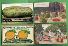 c. 1915 LOT OF 7 DIFFERENT EXAGGERATED FRUITS FROM CALIFORNIA ON TRAIN POSTCARDS picture