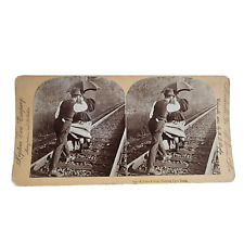 Antique Stereoview Card, Train Robber Holding up a Train, Female Hostage, 1895 picture