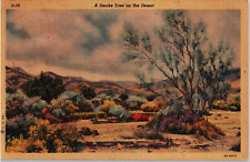 Postcard A Smoke Tree On The Desert picture
