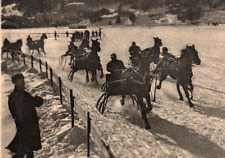 C1930s Horse Racing Equestrian St. Moritz Trabrennen Snow  Vintage Postcard picture