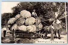 Galva Kansas KS Postcard RPPC Photo Horses And Wagon Exaggerated Cabbage Martin picture