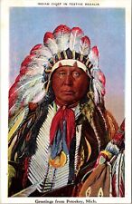 Linen Postcard Indian Chief in Festive Regalia Greetings from Petoskey, Michigan picture
