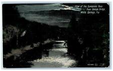 1908 View Of Suwanee River From Camp Bridge White Springs Florida FL Postcard picture