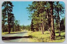 Highway 30, Eastern Oregon Postcard 3671 picture