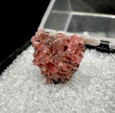 Rhodochrosite & Quartz Crystals: Uchucchacua Mine. Oyon Dept. Lima , Peru 🇵🇪 picture