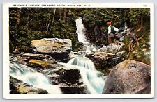 Crawford Notch~White Mtns New Hampshire~Beecher's Cascade~Vintage Postcard picture