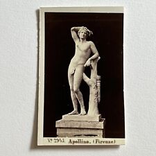 Antique CDV Photograph Statue Apollino Roman God Apollo picture