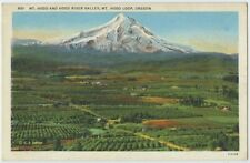 Mt Hood Loop Mt Hood River Valley Or Vintage Postcard Oregon White Border picture