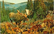 Luxton Museum Banff Canada Ca Calgary Alberta Canada Ca Moose Postcard picture