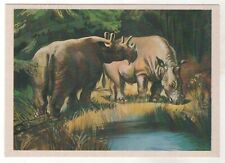 1983 DINOSAURS UINTATERIUM PREHISTORIC ANIMAL PALEONTOLOGY RUSSIAN POSTCARD Old picture