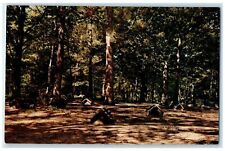 c1960 Indian Burial Ground Ojibway Burial Grounds  L'Anse Michigan MI Postcard picture
