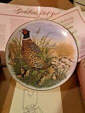 VTG Southrn Living Game Birds of the South Ring-Necked Pheasant
