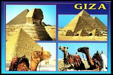 Vintage Postcard Giza Egypt Great Pyramid Sphinx Camel Desert picture