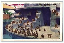 1934 Century Of Progress Frank Buck's Jungle Camp On Midway Boardwalk Postcard picture