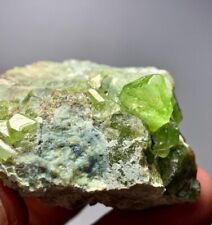 483 cts Terminated Peridot Crystals Bunch specimen from Skardu Pakistan picture
