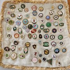 Huge Job Lot Of Over 75+ Fuchsia Society Club Enamel Badges RHS BFS picture
