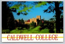 Caldwell College New Jersey Vintage Unposted Postcard picture