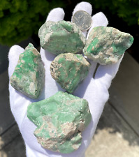 USA SELLER SEE VIDEO 350g LOT LUCIEN VARISCITE ROUGH SPECIMENS QUALITY RAW GREEN picture