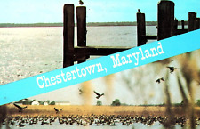 Vintage Postcard Maryland, Chestertown M.D. - c1960 picture