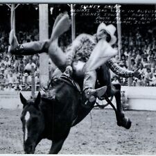 c1950s Sidney IA RPPC Rodeo Town Cowboy Bucking Horse Real Photo Shenandoah A245 picture