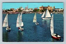 St. Petersburg FL-Florida Sailing the Waterfront City View Chrome c1976 Postcard picture