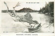 Postcard RPPC Canada Westport Ontario Fish Swallows Frog exaggeration 22-13880 picture