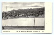 Rocky Glen PA Lake and Swiss Cottage Postcard GV Millar   pc107 picture