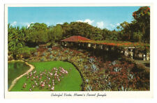 Miami FL Postcard Florida Flamingo Birds at Parrot Jungle picture