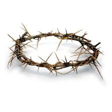 Passion of Christ Crown of Thorns/Authentic Crown of Thorns Comes in Gift Box... picture