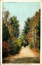Vintage Postcard  The Road To Franconia White Mountain New Hampshire Horse Buggy picture
