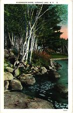 Algonquin Shore Saranac Lake New York Divided Unused Postcard 1917 picture