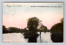 Plainwell, MI-Michigan, Island in Kalamazoo River c1908, Vintage Postcard picture